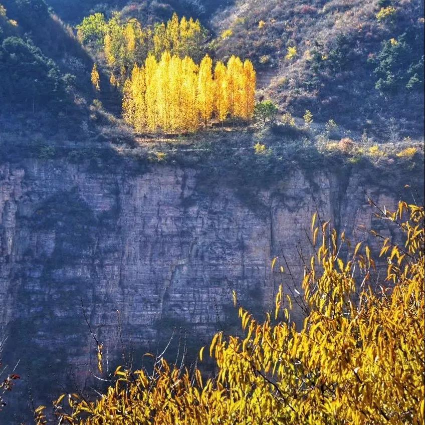 阳光大好，秋色正浓，快来新乡南太行赴深秋之约...