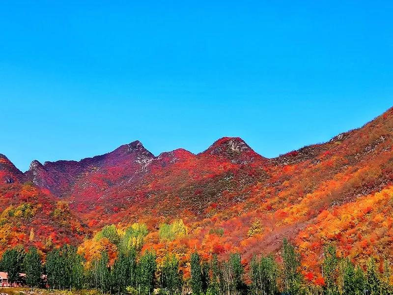 相约新乡南太行，不负秋日好时光！