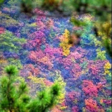 新乡南太行最独特的一道风景，别说没告诉你！