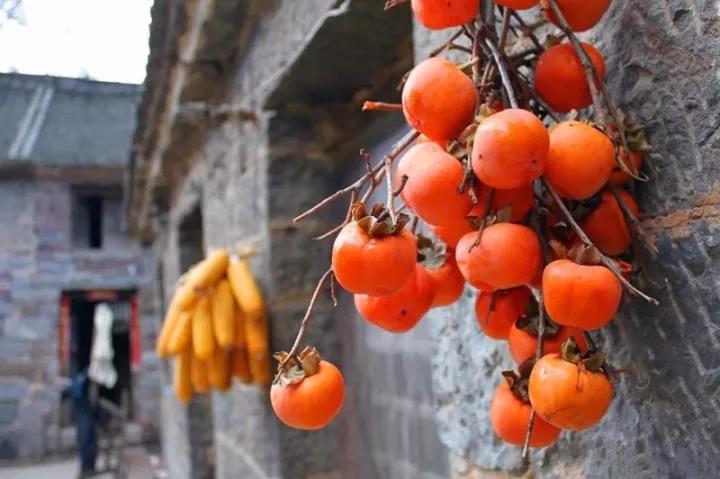 秋天的秋沟，等你来打卡哟！