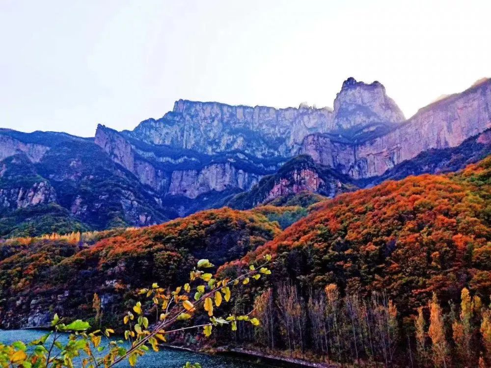 喜讯|新乡八里沟景区荣获2019年度四钻级智慧景区荣誉称号