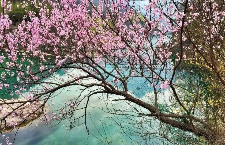 冬是一幅浅画，新乡南太行就是一幅遗落人间的山水画....