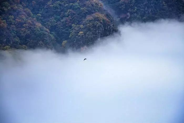 这个冬天，小编邀请你来“看海”！