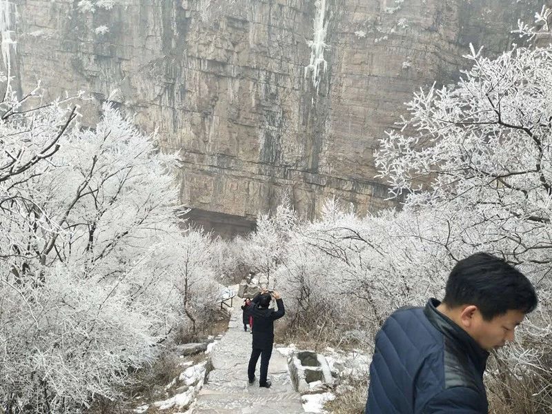 冬之絮语|新乡南太行，撷取散落的冬日色彩....