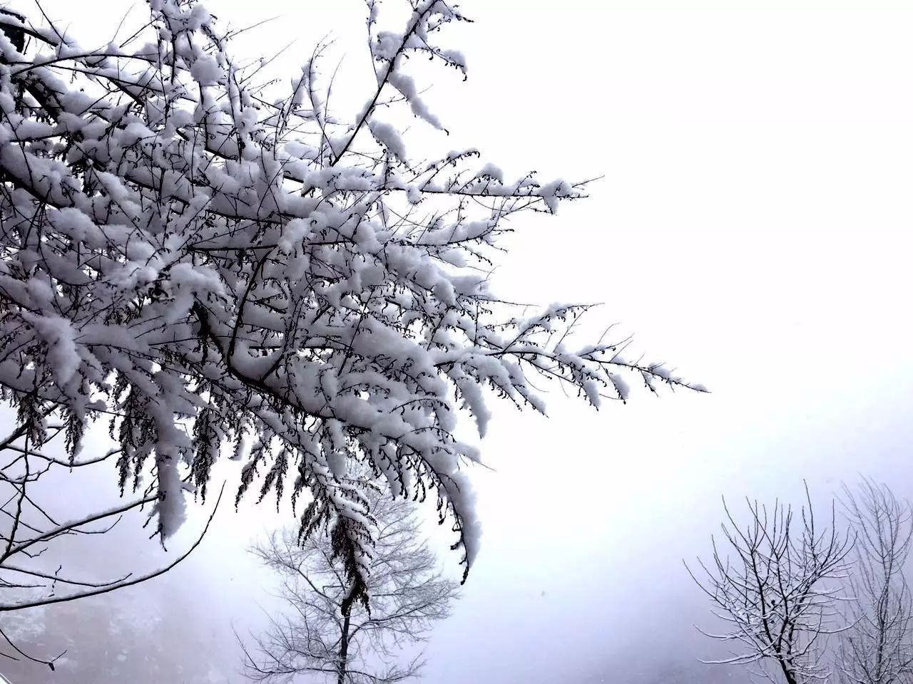 不过是下了一场雪，这里竟然变成童话般的世界......