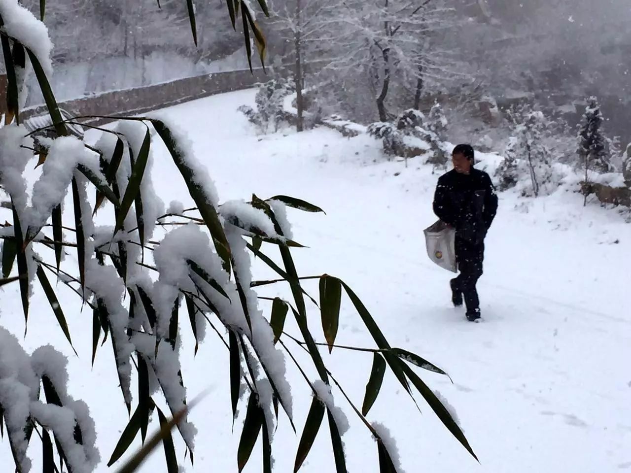 不过是下了一场雪，这里竟然变成童话般的世界......