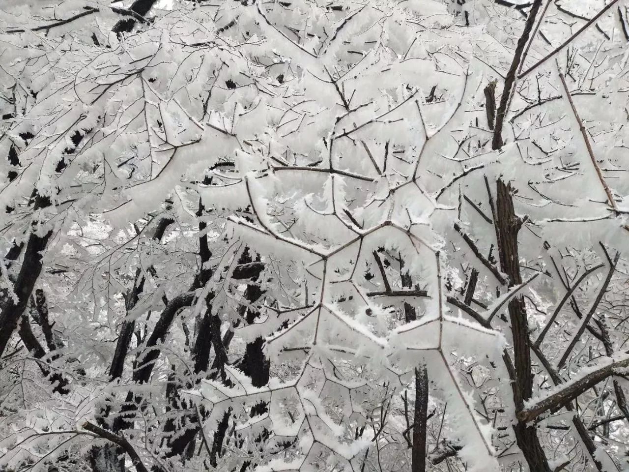 新乡南太行的冬，每次都是一次不经意的邂逅....