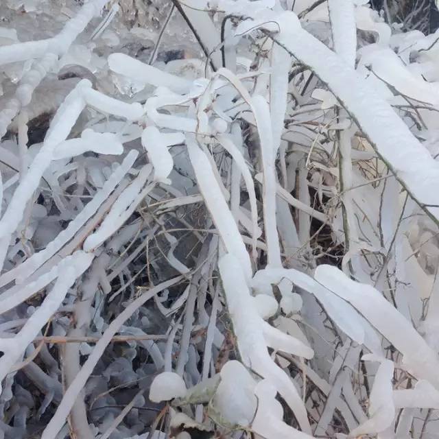 新乡南太行丨冬天有人喜欢去南方度假，我却喜欢在北方看冰挂！