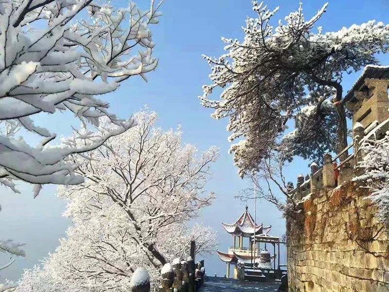新乡南太行丨冬天有人喜欢去南方度假，我却喜欢在北方看冰挂！