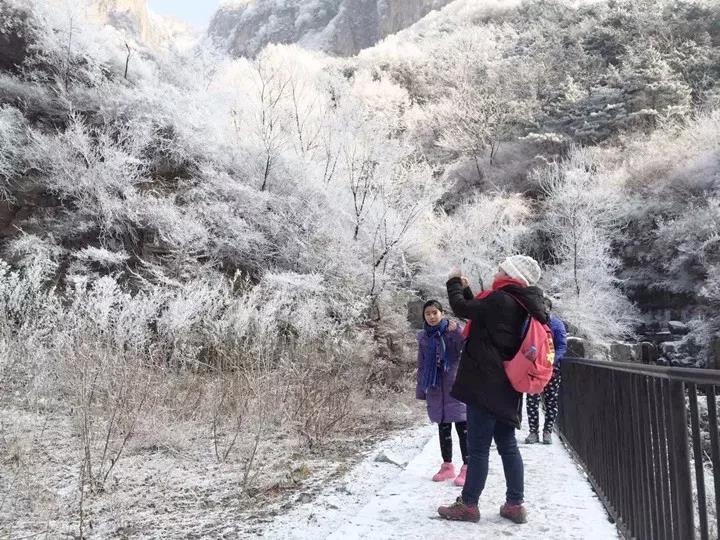 今日冬至|起身新乡南太行追寻暖人身心的冬季浪漫之旅.....