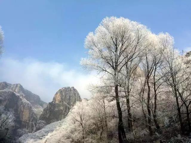 雾凇有奇观，天然去雕饰，这里的冬景便胜却人间无数....