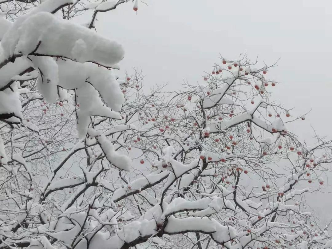 2020年第一场雪，新乡南太行带你走进冰雪奇缘....