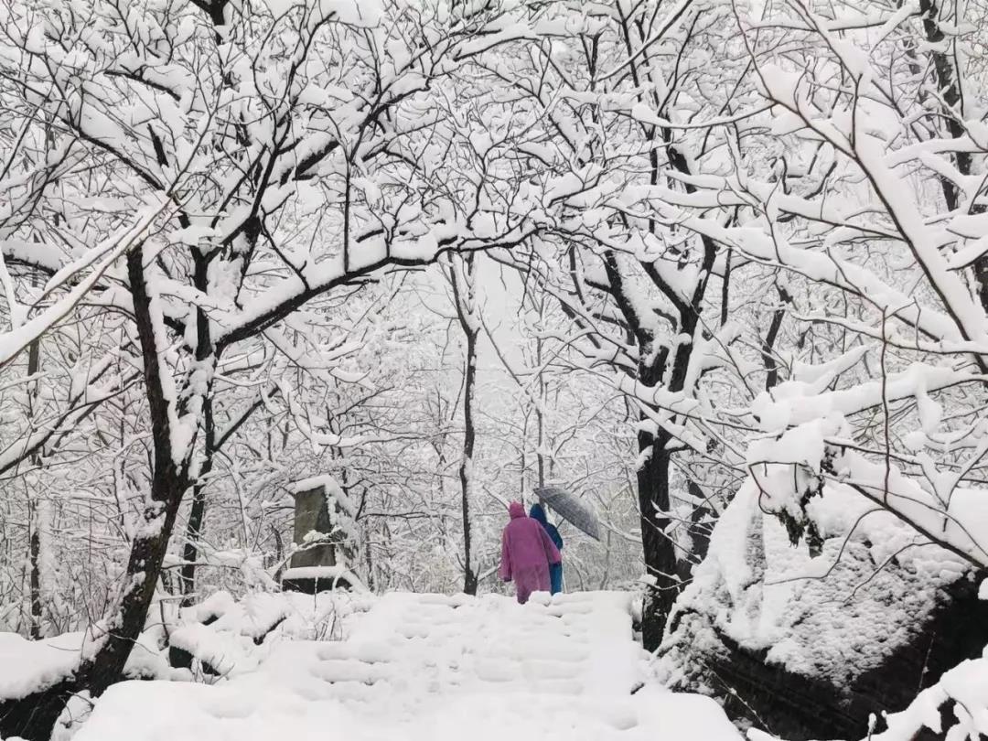 2020年第一场雪，新乡南太行带你走进冰雪奇缘....