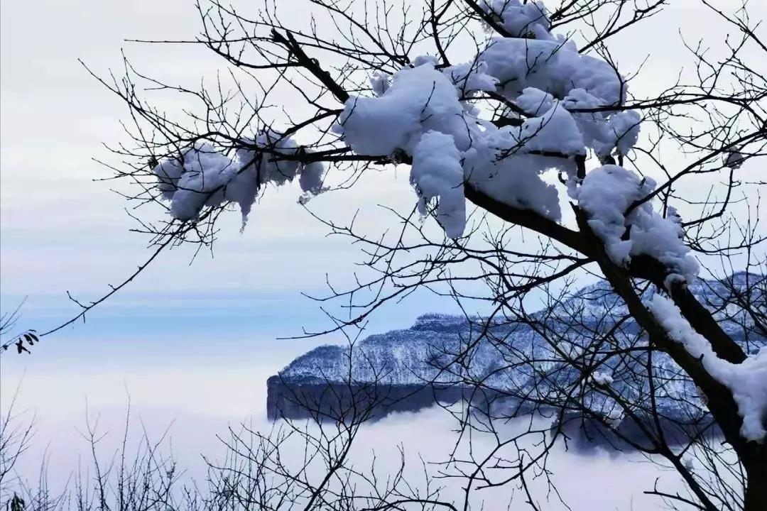 当冰雪遇上云海，“仙气十足”的新乡南太行美得不像话!