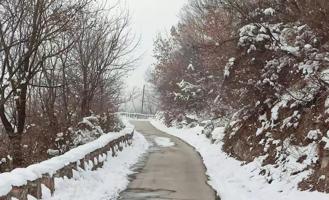 这几个地方的雪后景致，是开在心间最素洁的花....