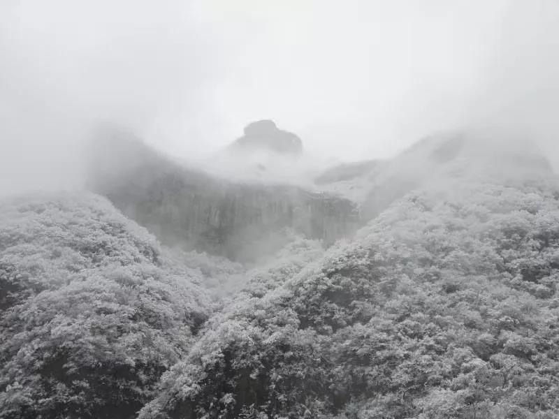 飞雪的季节，来新乡南太行寻找岁寒中的那一抹清欢！