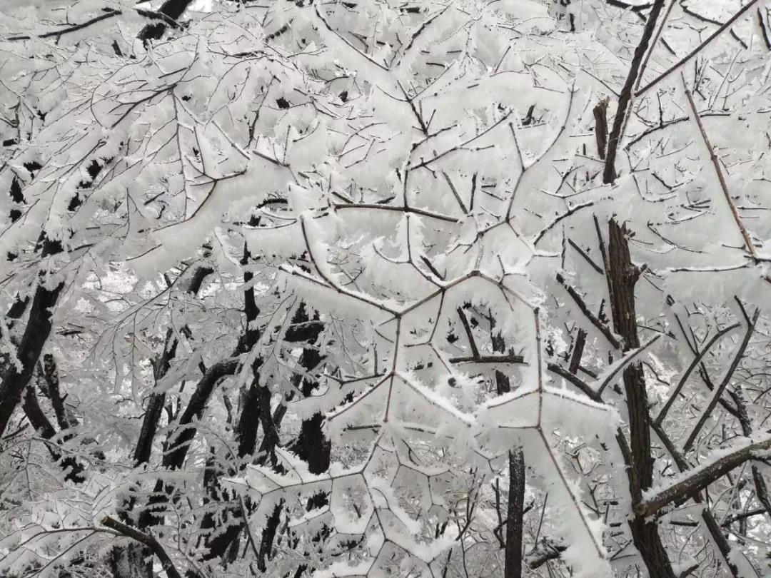 飞雪的季节，来新乡南太行寻找岁寒中的那一抹清欢！