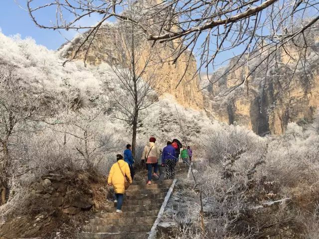 新乡南太行又双叒叕一波的免票活动再次来袭，春节期间乐翻天！