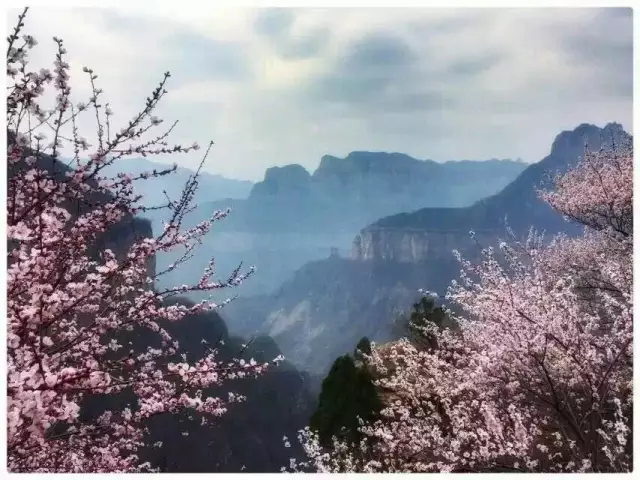 新乡南太行提醒您，消毒用酒精，学会正确使用很重要！