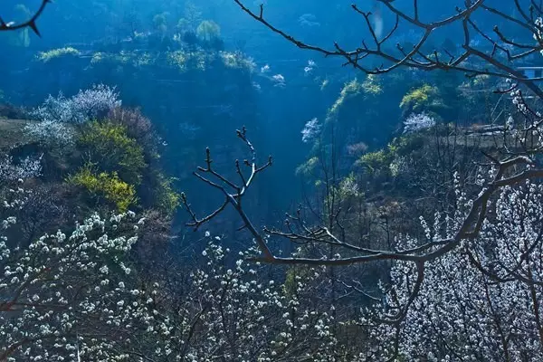 新乡南太行｜立春万物始，等一个没有疫情的明天！