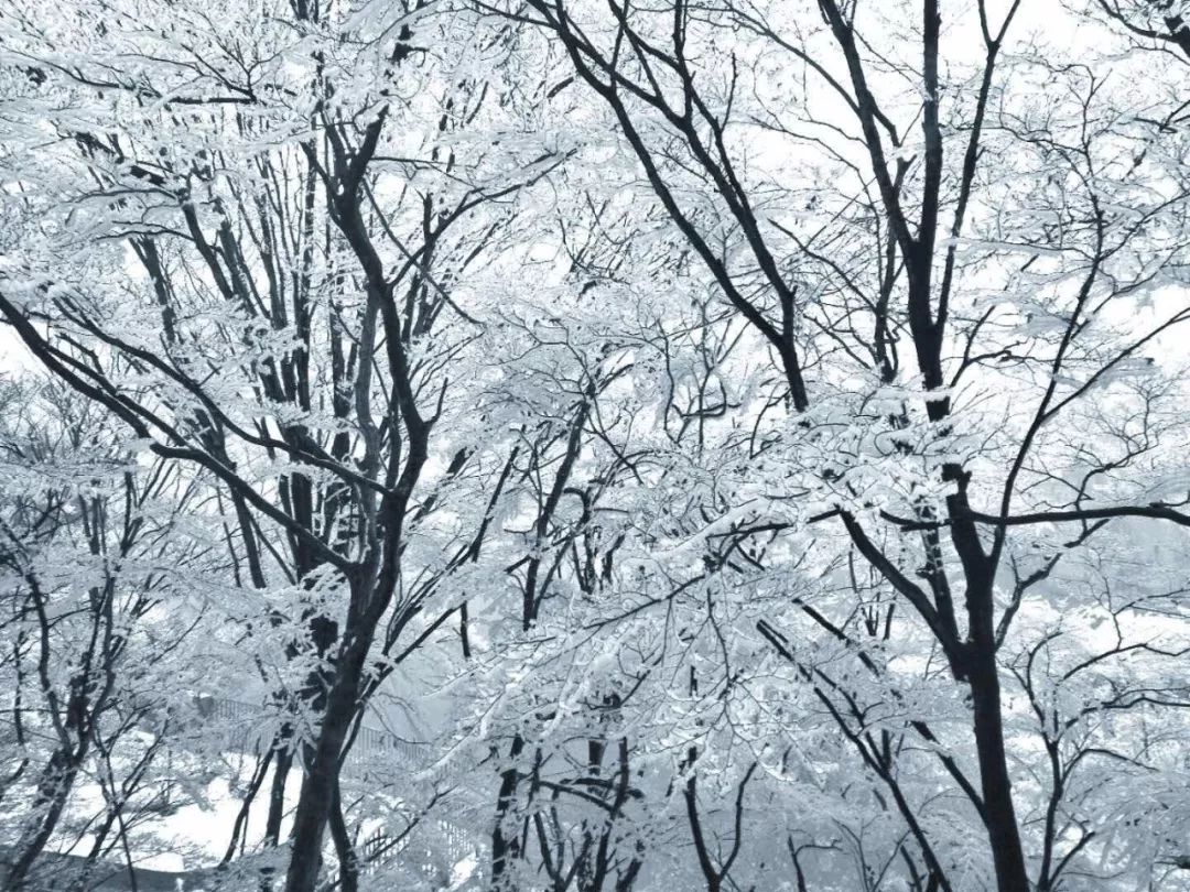 新乡南太行丨踏雪赏冰辞旧岁，瑞雪纷飞迎新年！