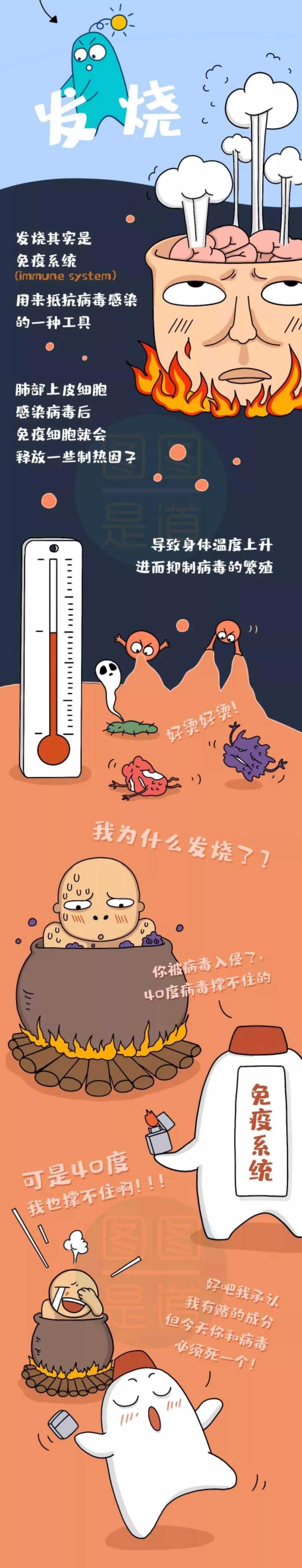 新乡南太行丨进一步了解病毒，增强我们战胜疫情的信心！