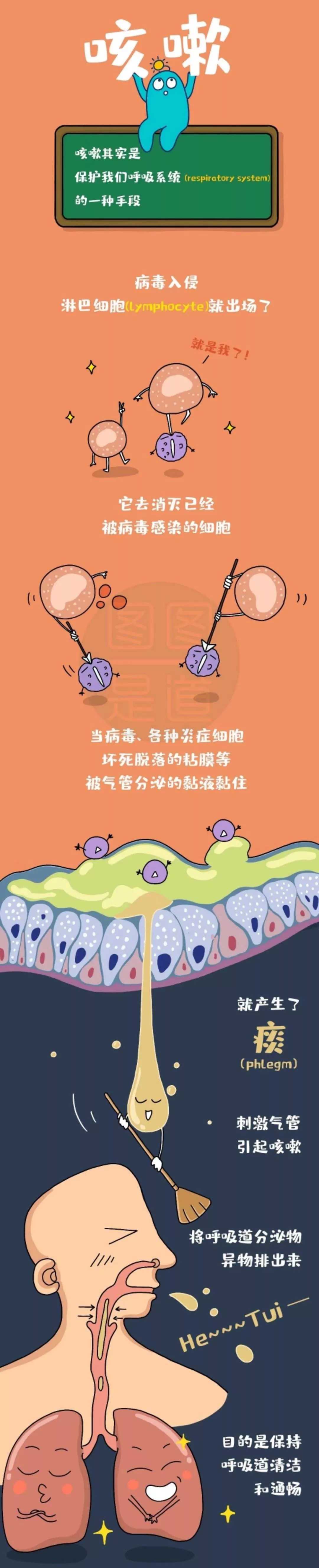 新乡南太行丨进一步了解病毒，增强我们战胜疫情的信心！