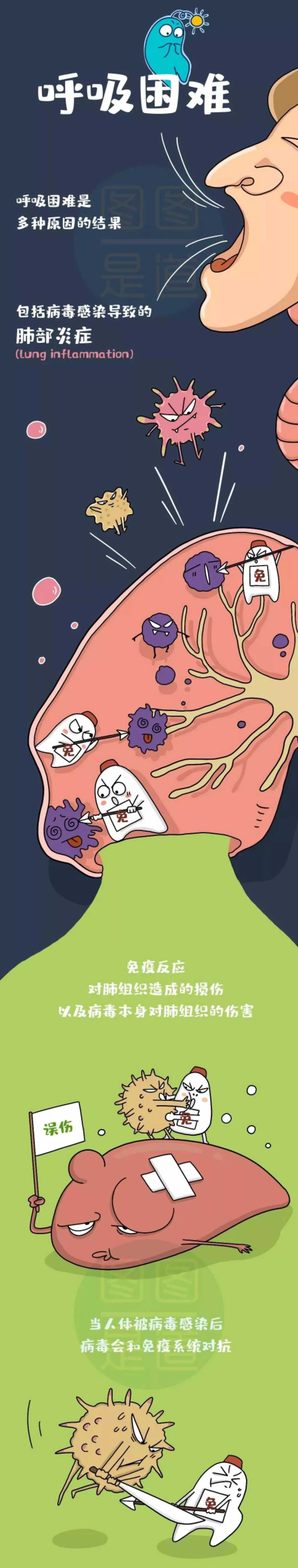 新乡南太行丨进一步了解病毒，增强我们战胜疫情的信心！
