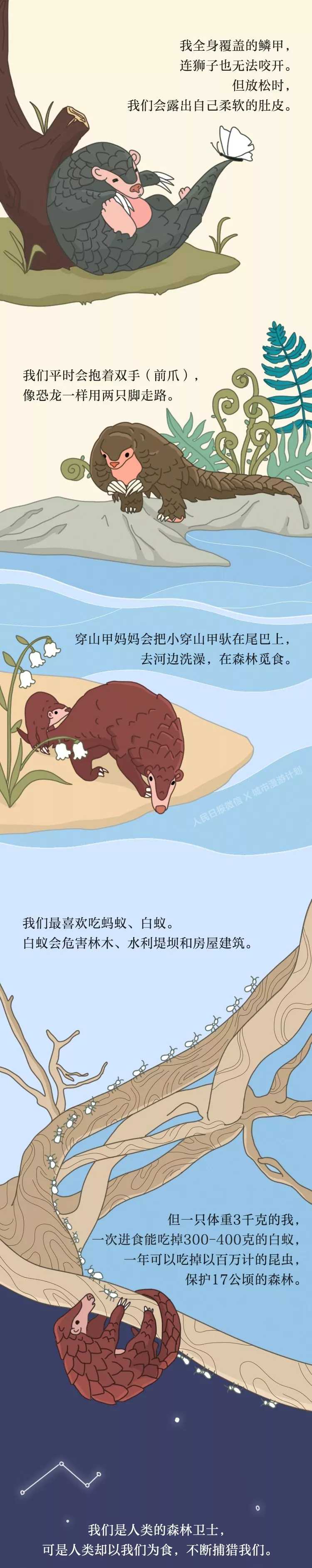 新乡南太行|维护大自然的和谐共生，其实，你知道怎么做！