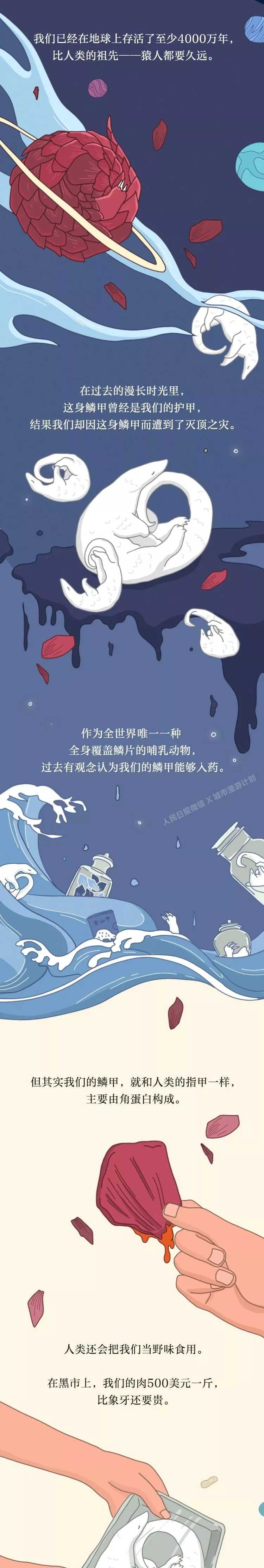 新乡南太行|维护大自然的和谐共生，其实，你知道怎么做！