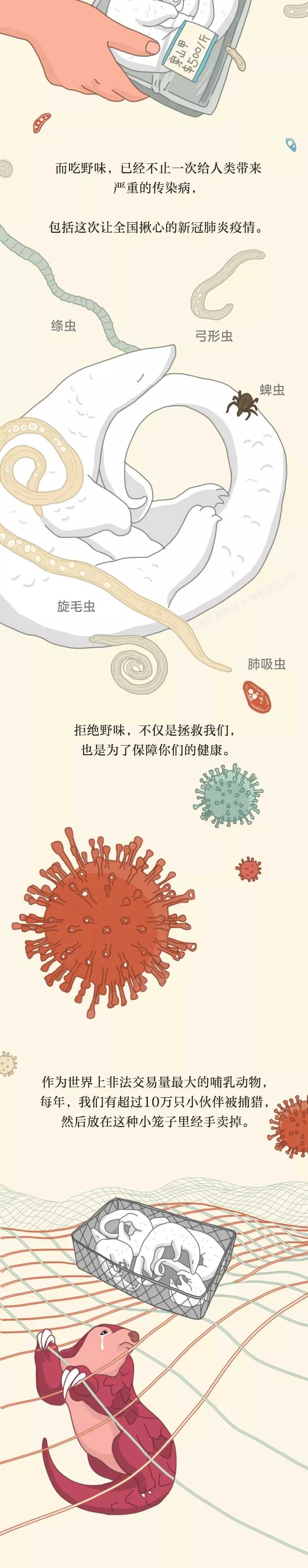 新乡南太行|维护大自然的和谐共生，其实，你知道怎么做！