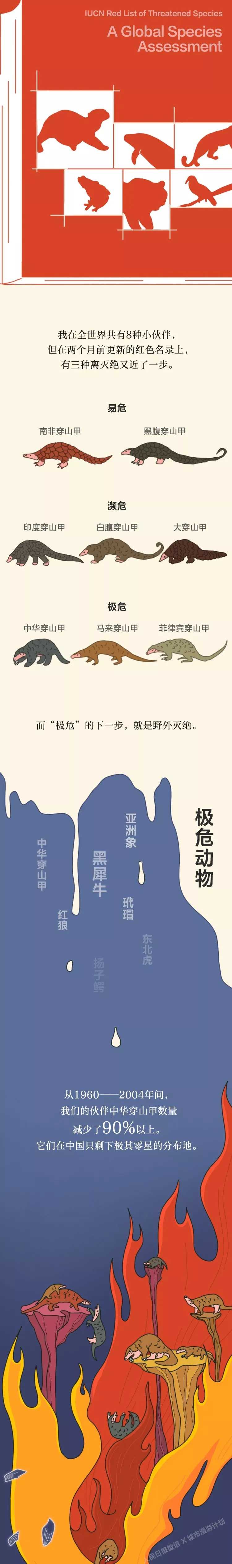 新乡南太行|维护大自然的和谐共生，其实，你知道怎么做！