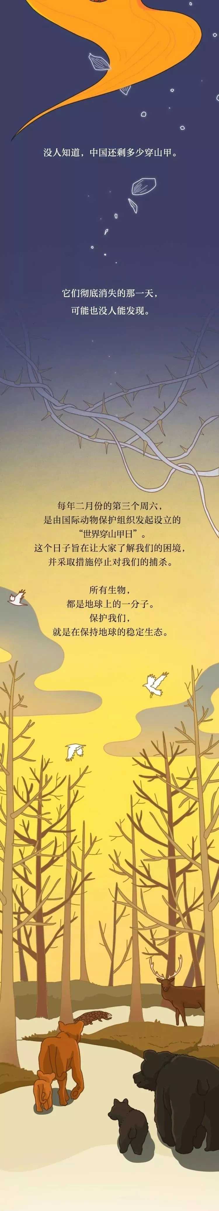 新乡南太行|维护大自然的和谐共生，其实，你知道怎么做！