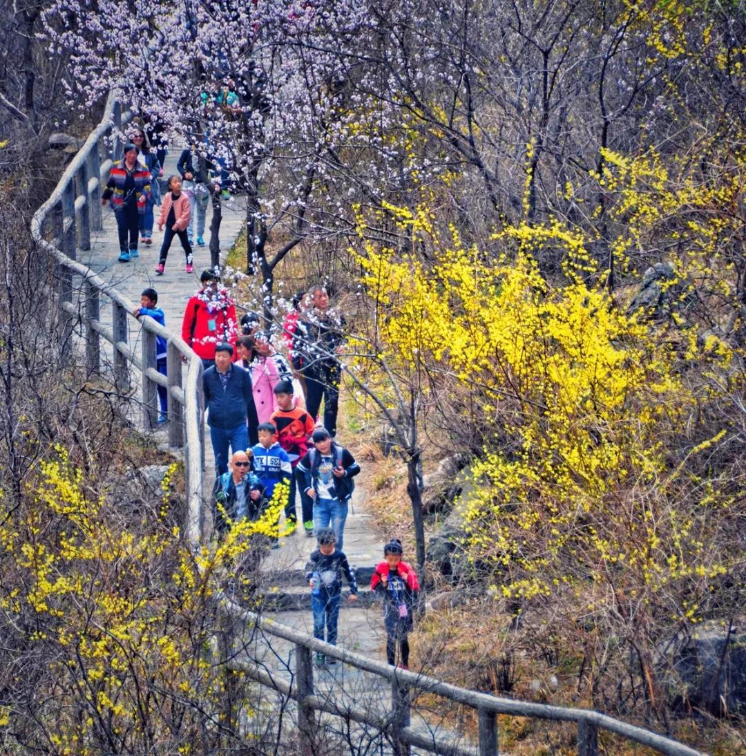 疫情过后，我们一起去旅行吧！ 游山玩水，看世间百态！