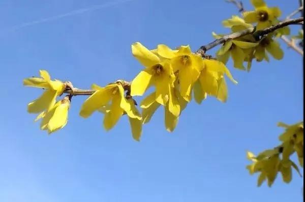 最好的年华遇见最美的风景 最美的时节邂逅醉人的新乡南太行