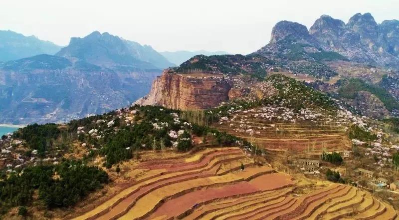 新乡南太行｜我有桃花满山，何愁春风不至？