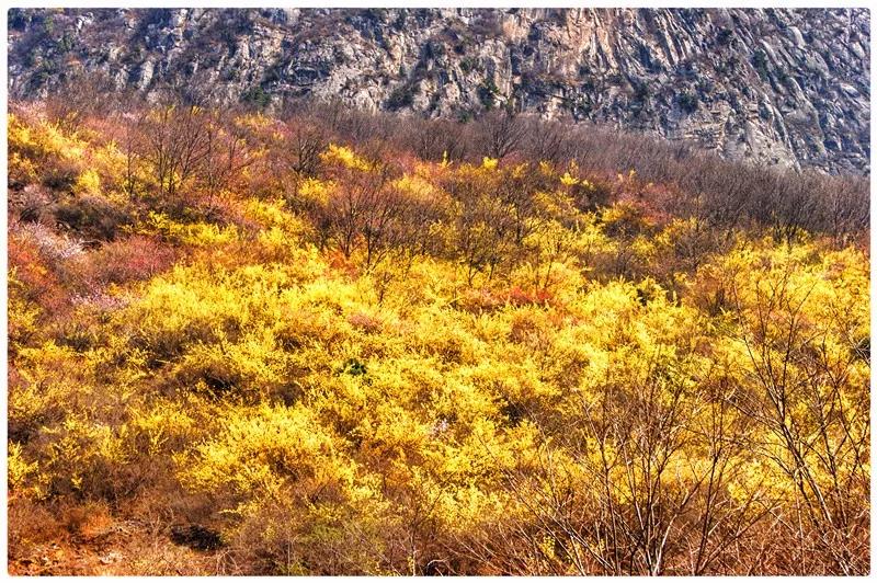 梦里所念，终迎相见，新乡南太行关山景区明日开园！