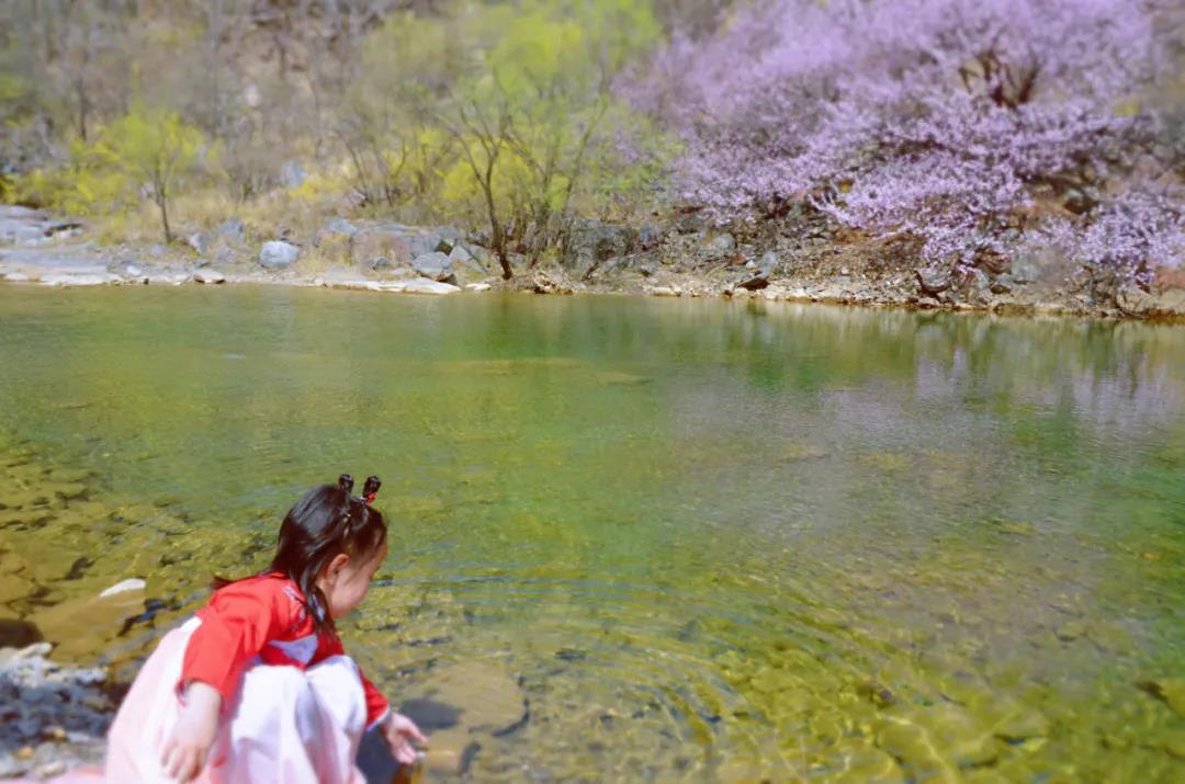 正是关山好春光，花开时节又逢君！