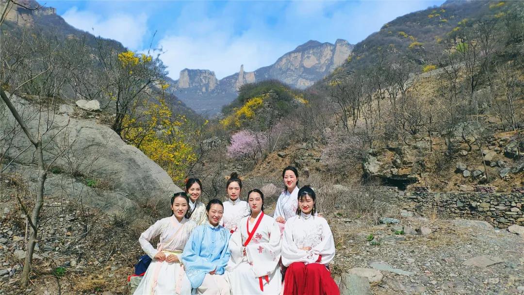 连翘花开满山黄，夹带桃花浓郁香，豫北地区最大的野生连翘花基地进入最佳观赏期啦！