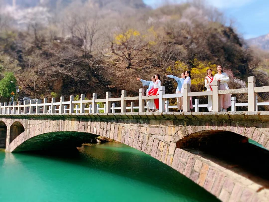 新乡南太行丨清明假期将至，盘点景区醉美踏青赏花地！