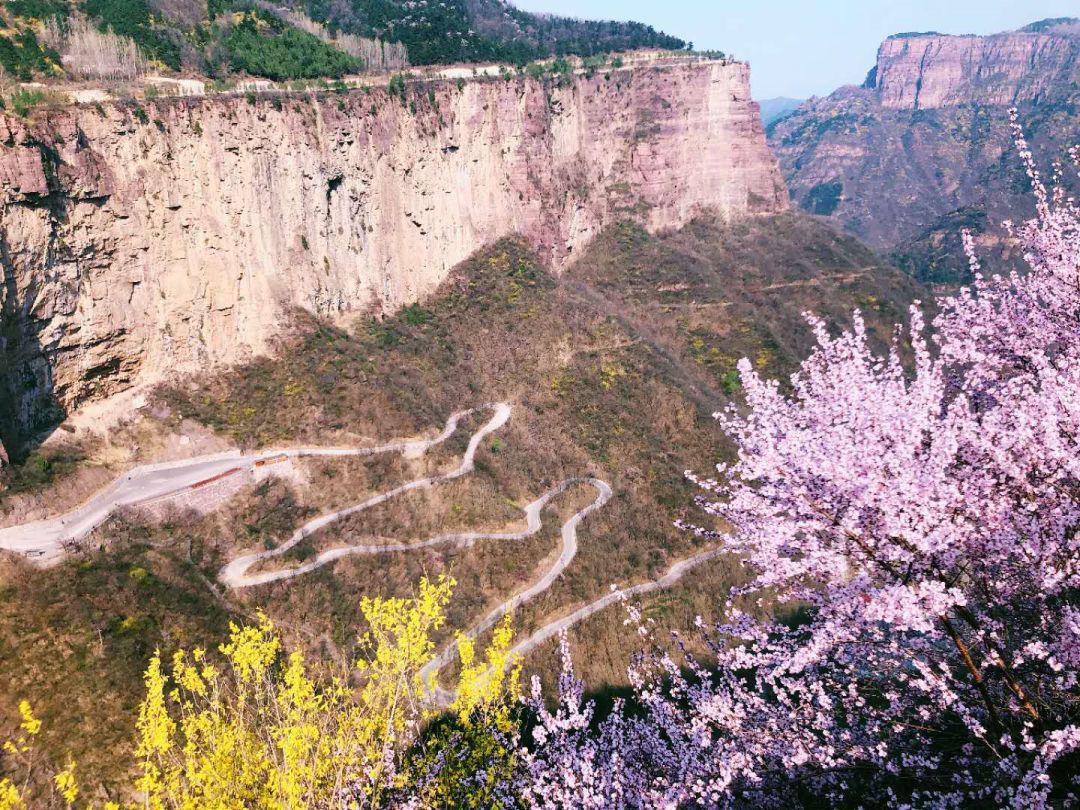 新乡南太行丨清明假期将至，盘点景区醉美踏青赏花地！