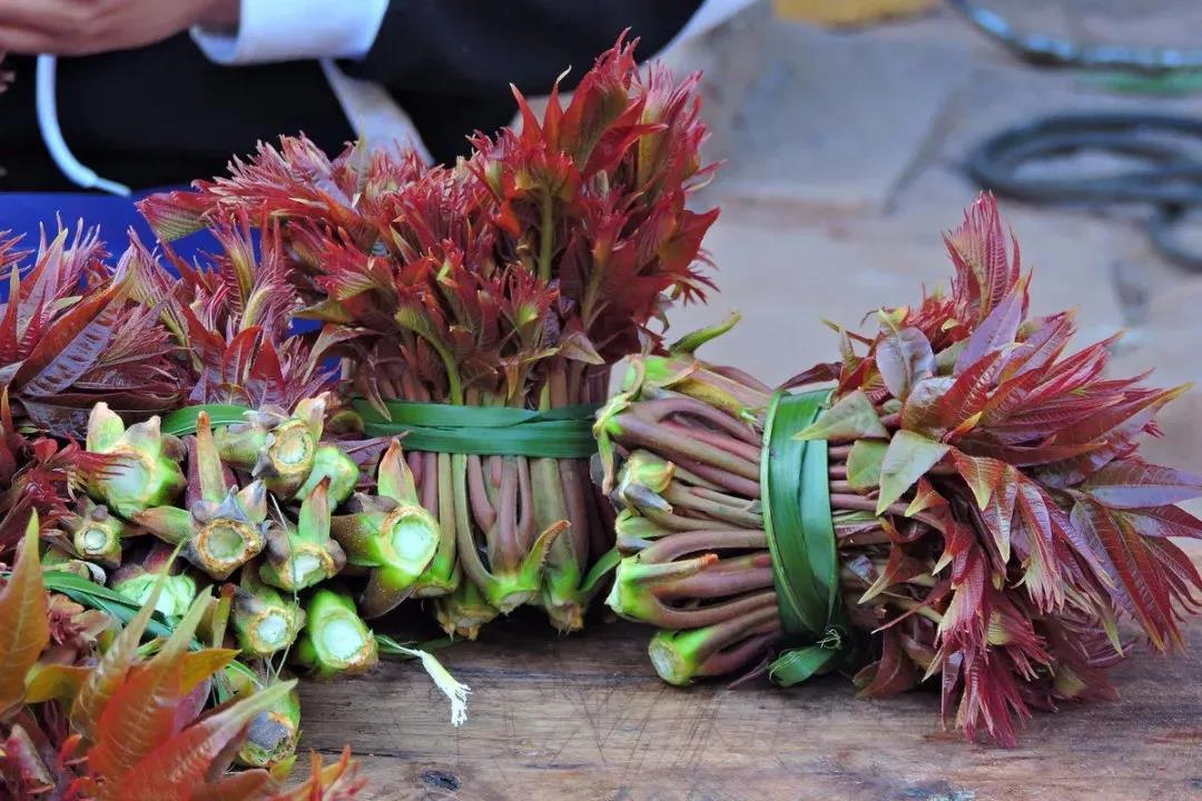 春天最好的时光，尽在新乡南太行！