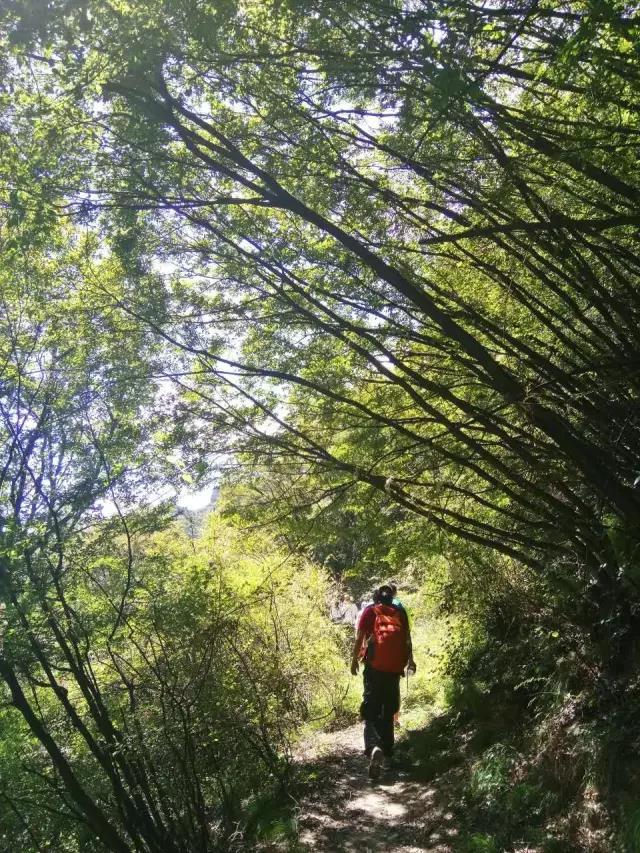 徒步踏青，探索新乡南太行神秘的健身步道......