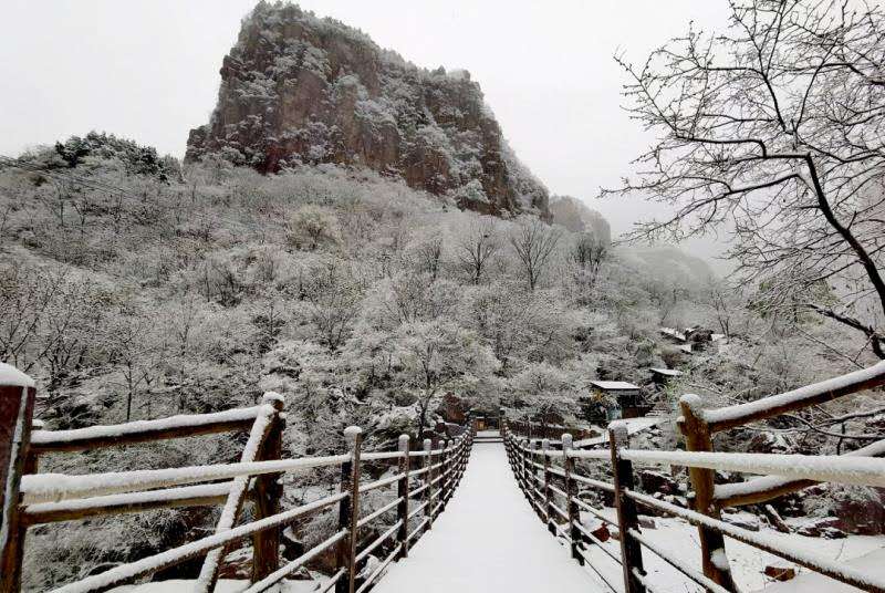 最美人间四月天，万仙山邂逅桃花雪，惊艳了整个春天！