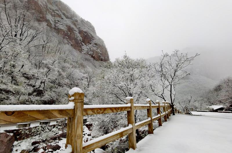 最美人间四月天，万仙山邂逅桃花雪，惊艳了整个春天！