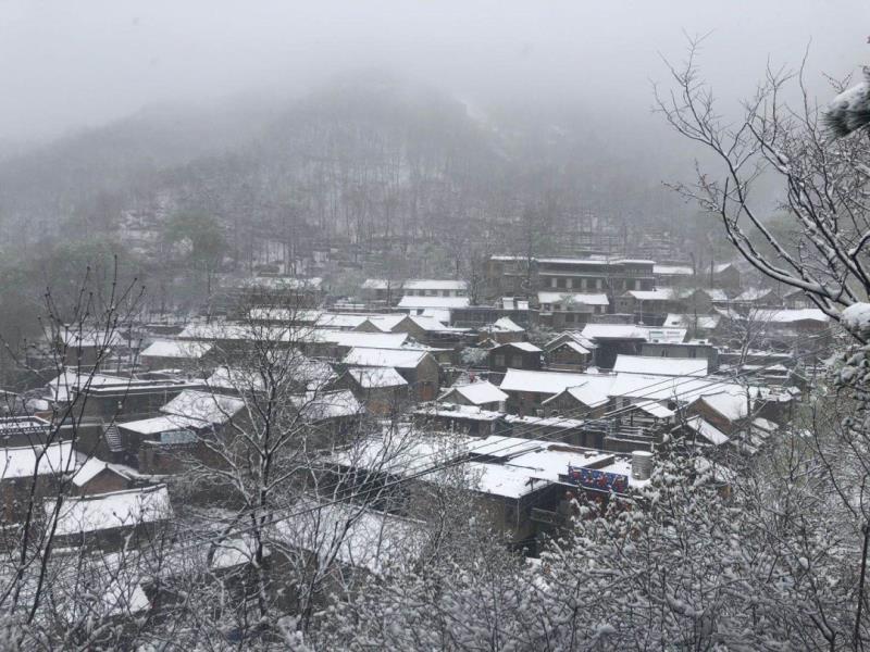 最美人间四月天，万仙山邂逅桃花雪，惊艳了整个春天！