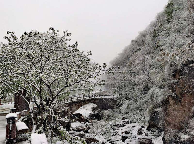 最美人间四月天，万仙山邂逅桃花雪，惊艳了整个春天！
