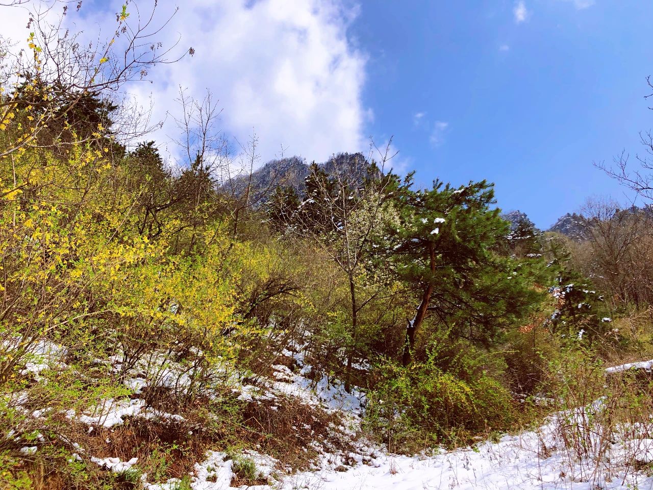 新乡南太行|雪后初晴，来这里让你知道什么叫人间仙境！