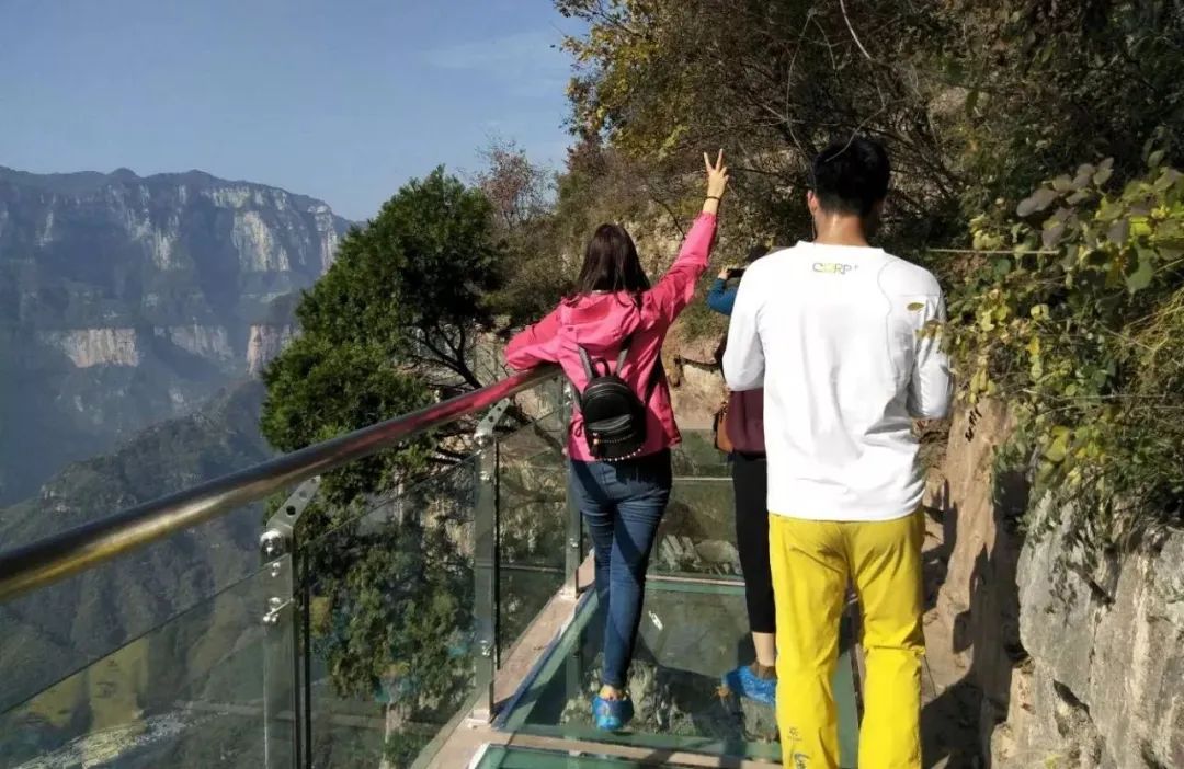 春遇正当时，最适合登山踏青赏花的好地方，简直美爆了！