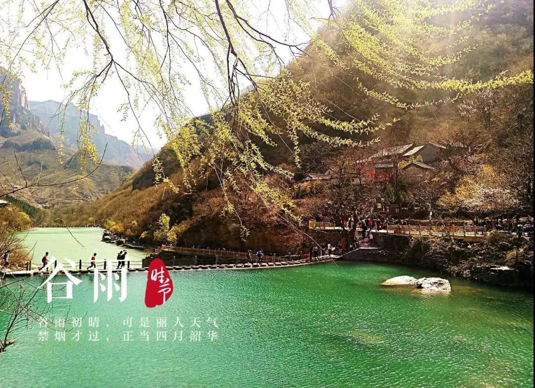 谷雨初晴|春雨后，云雾中，新乡南太行美出了新高度！